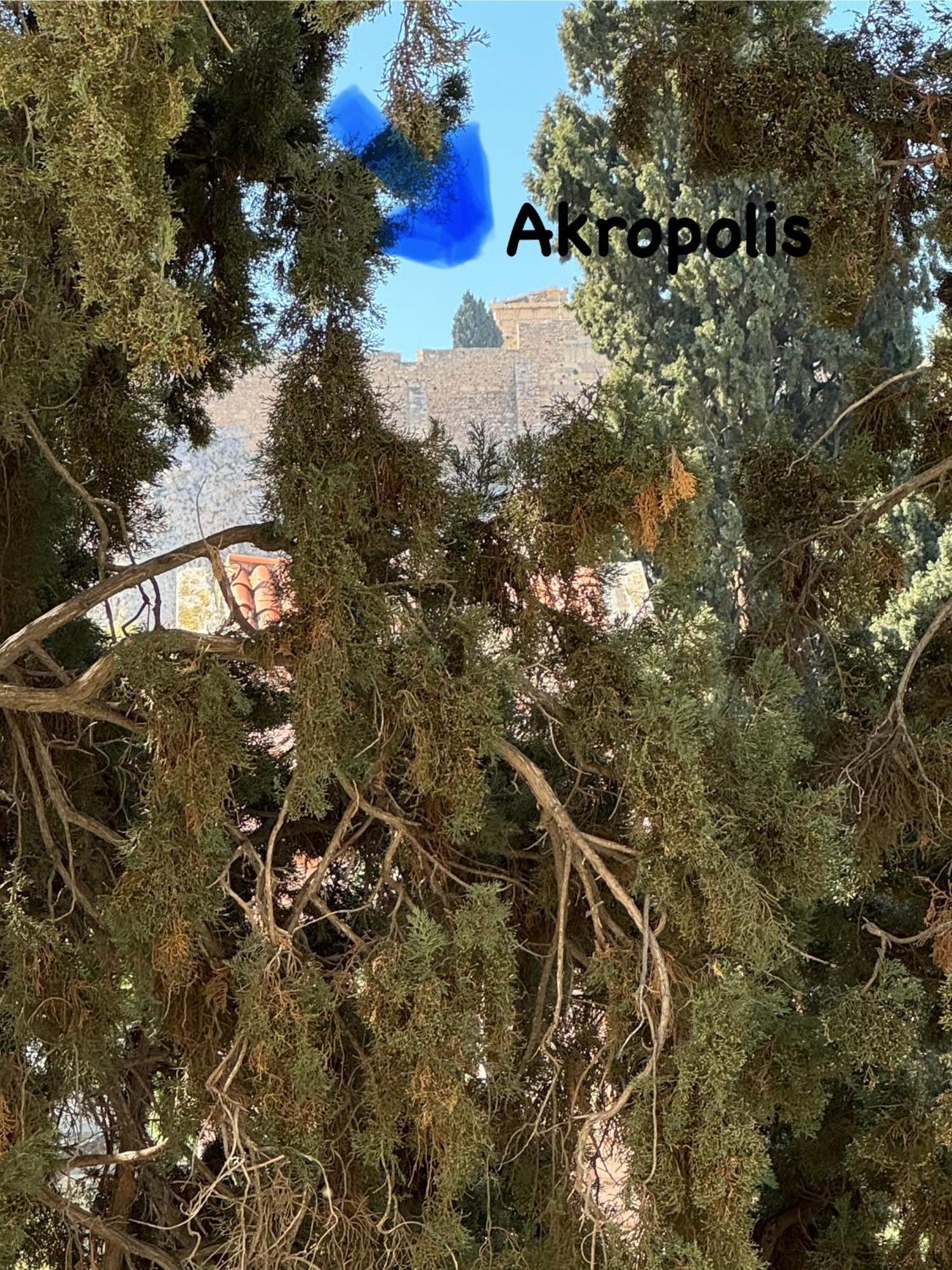 Plaka K15 Apartman Athén Kültér fotó